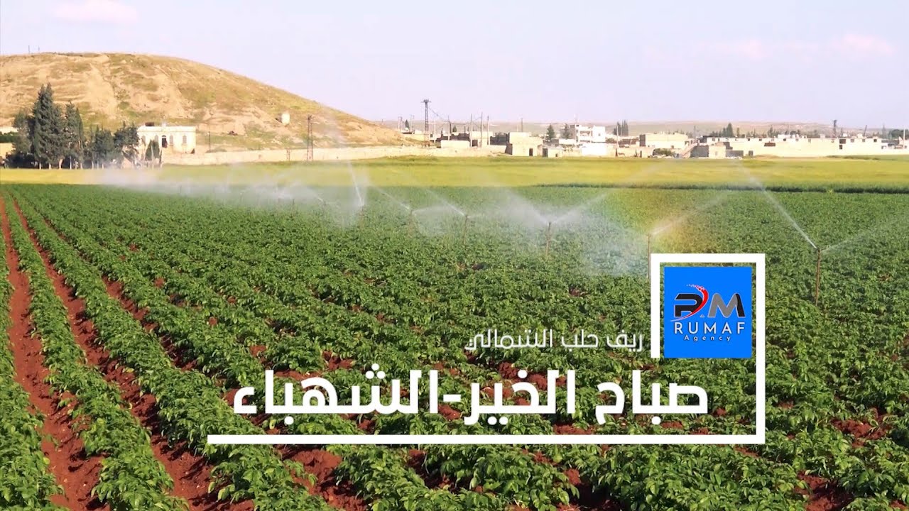 صباح الخير من خيرات أرض الشهباء - ريف حلب الشمالي