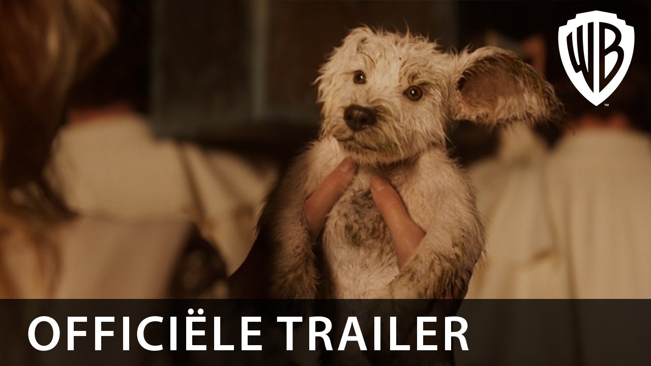 Supergirl | Home | 25 juni in de bioscoop