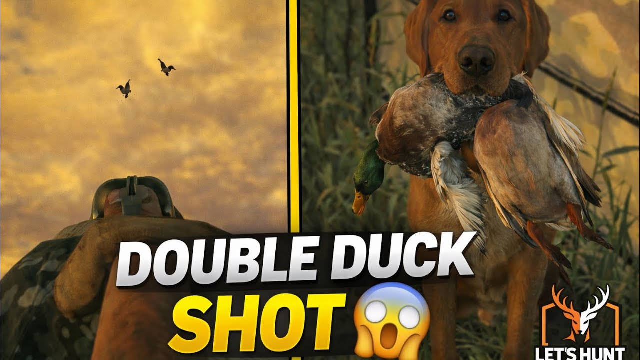Perfect Duck Hunt: 6 Ducks, 0 Misses (Luckiest Shot Ever) #duckhunting #challenge #thehunterclassic 