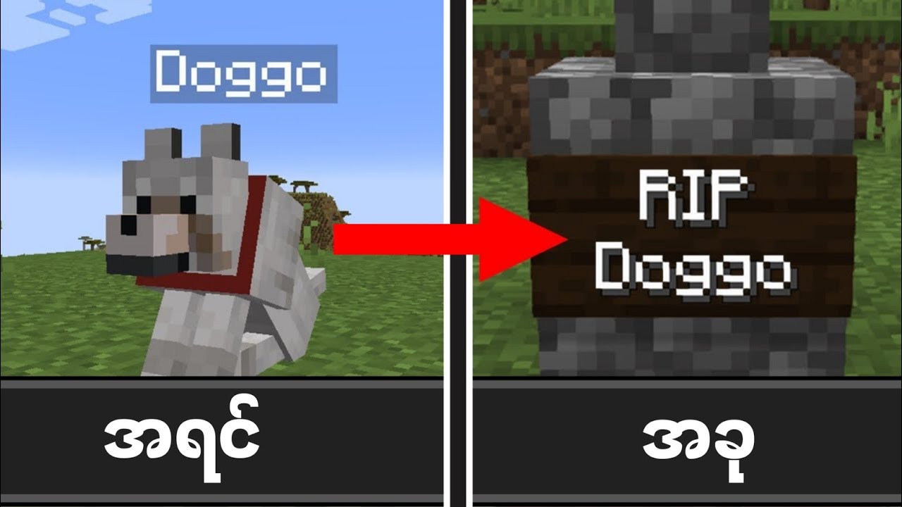 Minecraft troller ရဲ့ တနေ့သာ ဘ၀