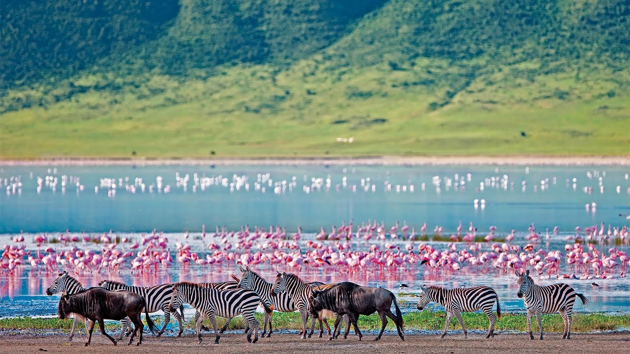 Adventure Highlight: Ngorongoro Crater Africa