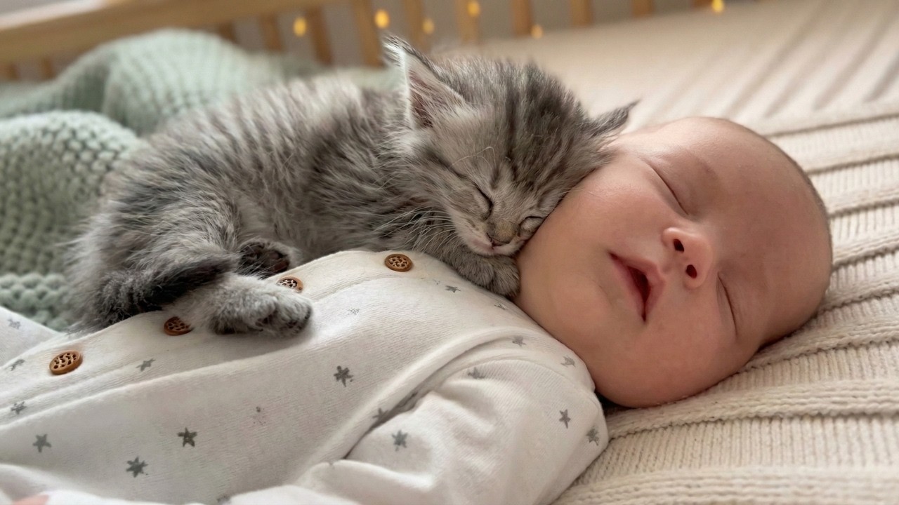 When a Kitten Snuggles a Baby 😍🐱 | Most Heart-Melting Moments