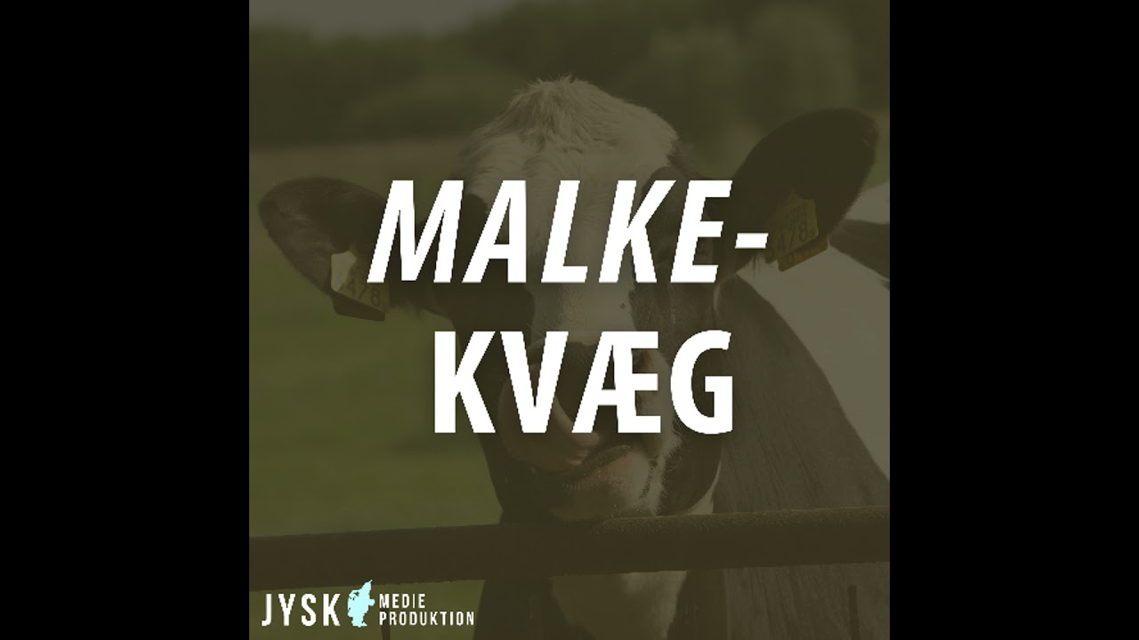 Malkekvæg 2026 - E3: De næste 100 doser med Niels Erik Haahr