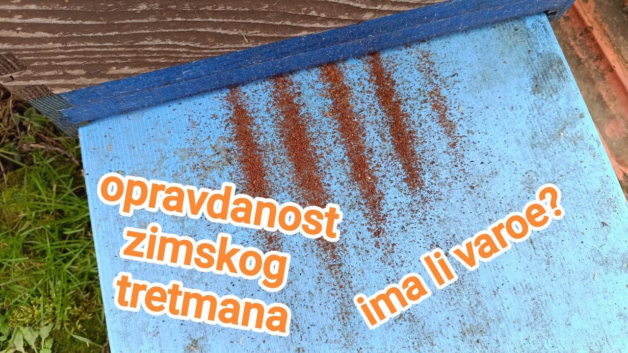 25. siječnja 2026.