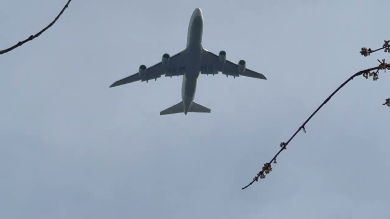 Planes Galore Ep 37