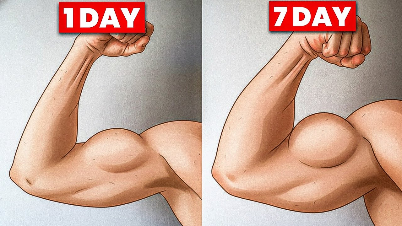 Bigger Arms at Home | No Equipment