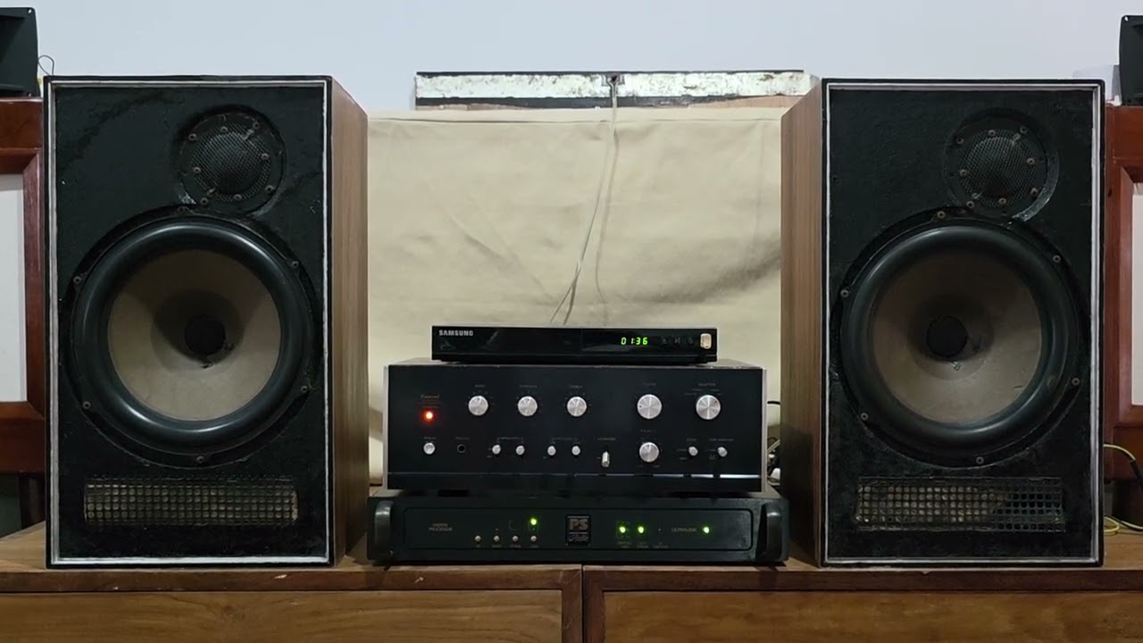 Pair of DYNACO A25 driven by DAC PS Audio Ultralink powered by SANSUI AU555A Japan