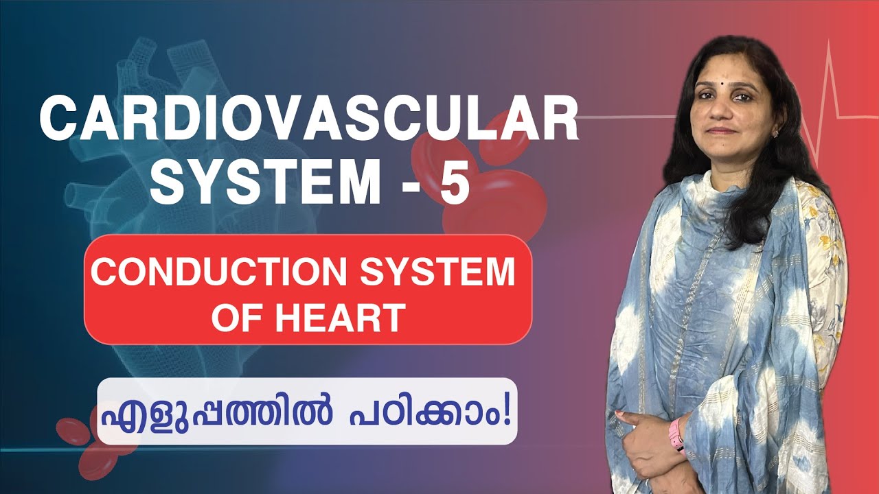 Cardiovascular System - 5 | Conduction System of the Heart | Malayalam
