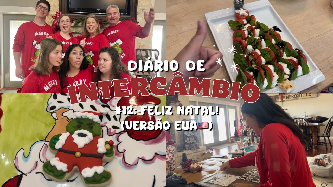 DIÁRIO DE INTERCÂMBIO #12: Natal nos EUA 🎅🎄✨// Hey Babi