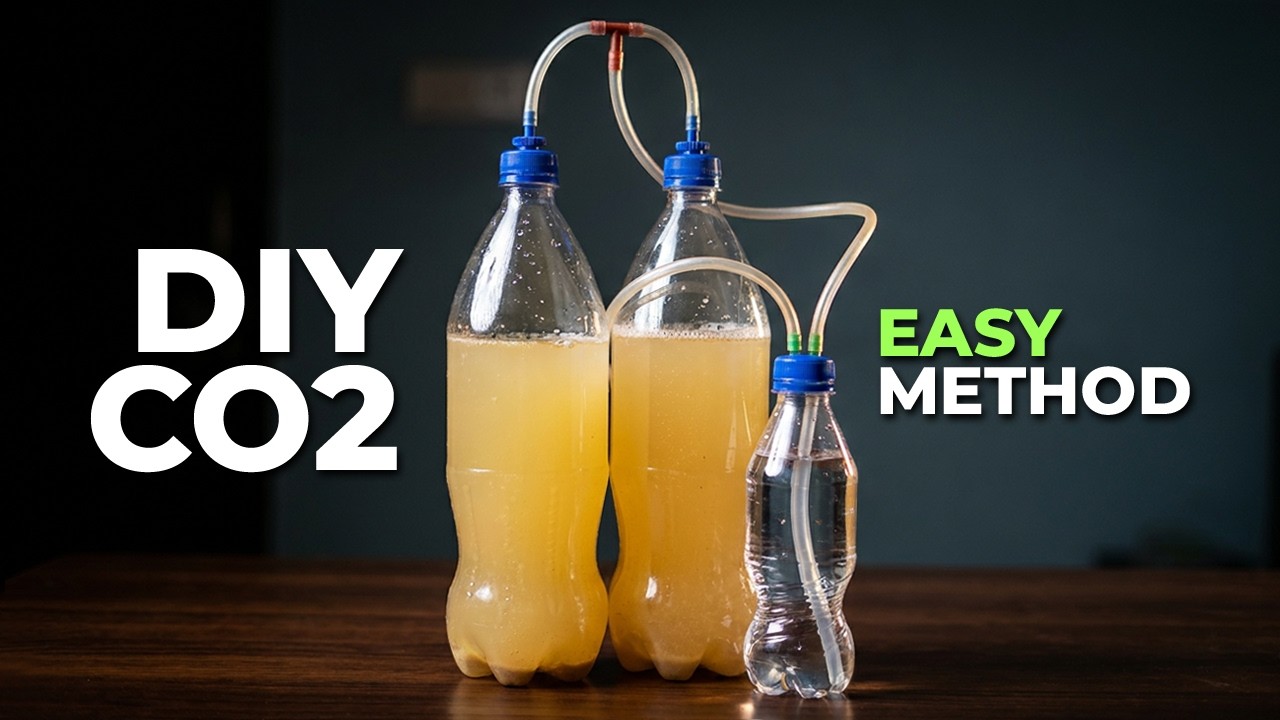 DIY CO2 for Planted Aquarium | Easy & Cheap CO2 Generator Setup
