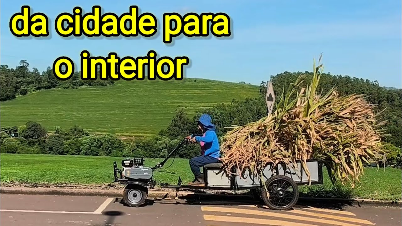 vivendo um dia de experiência no sítio, na lida com o gado, fazendo selagem, e muito mais.