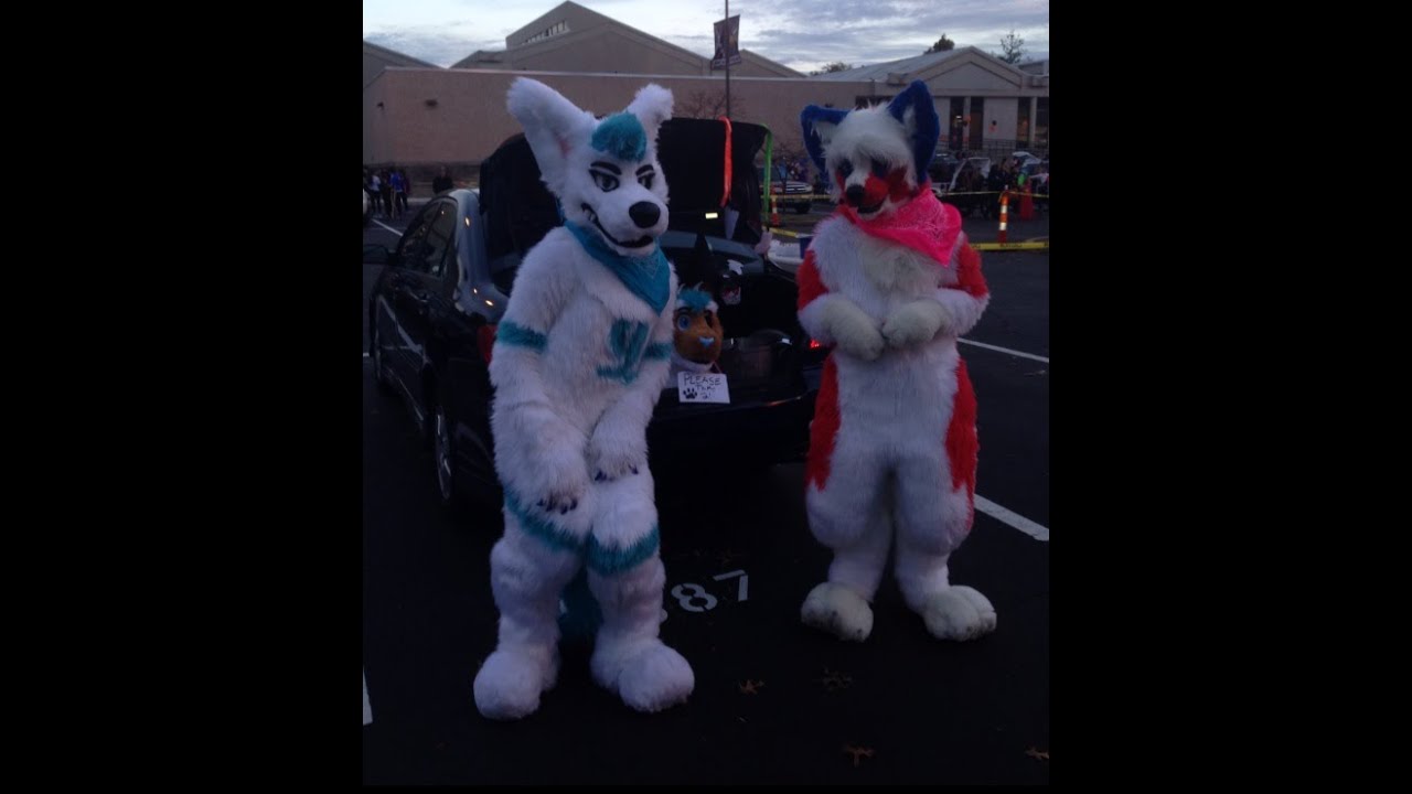 Fursuit Outing At TrunkOrTreat!!!