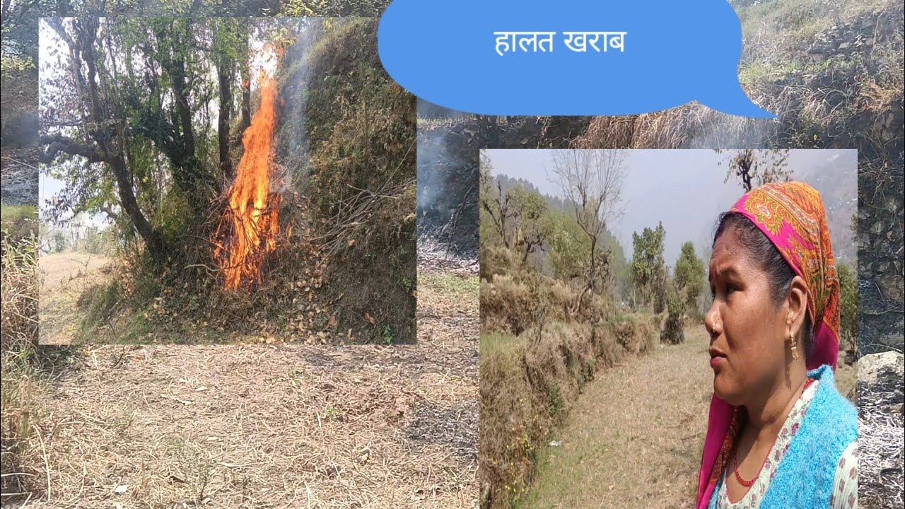 लोगो को देखकर दिमाग खराब😱😱🤔