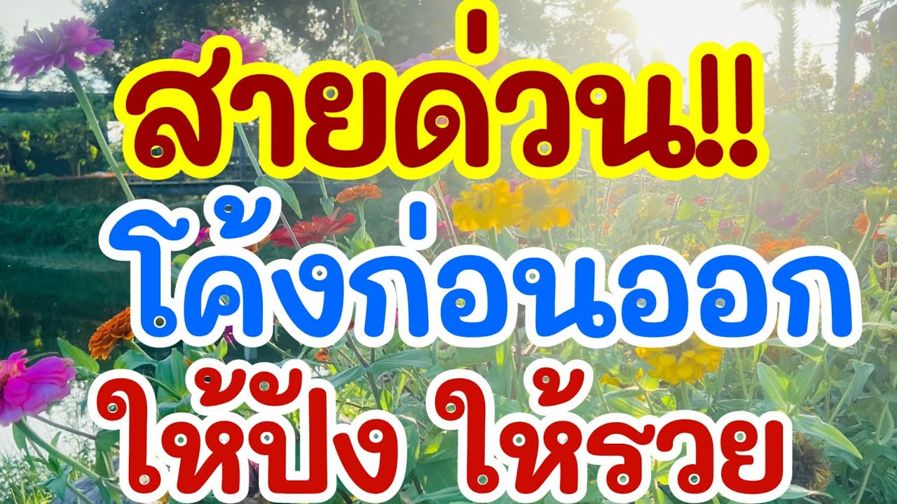 สายด่วน!! โค้งก่อนออก ให้ปัง ให้รวย 16 มี.ค. 69 [EP.11]