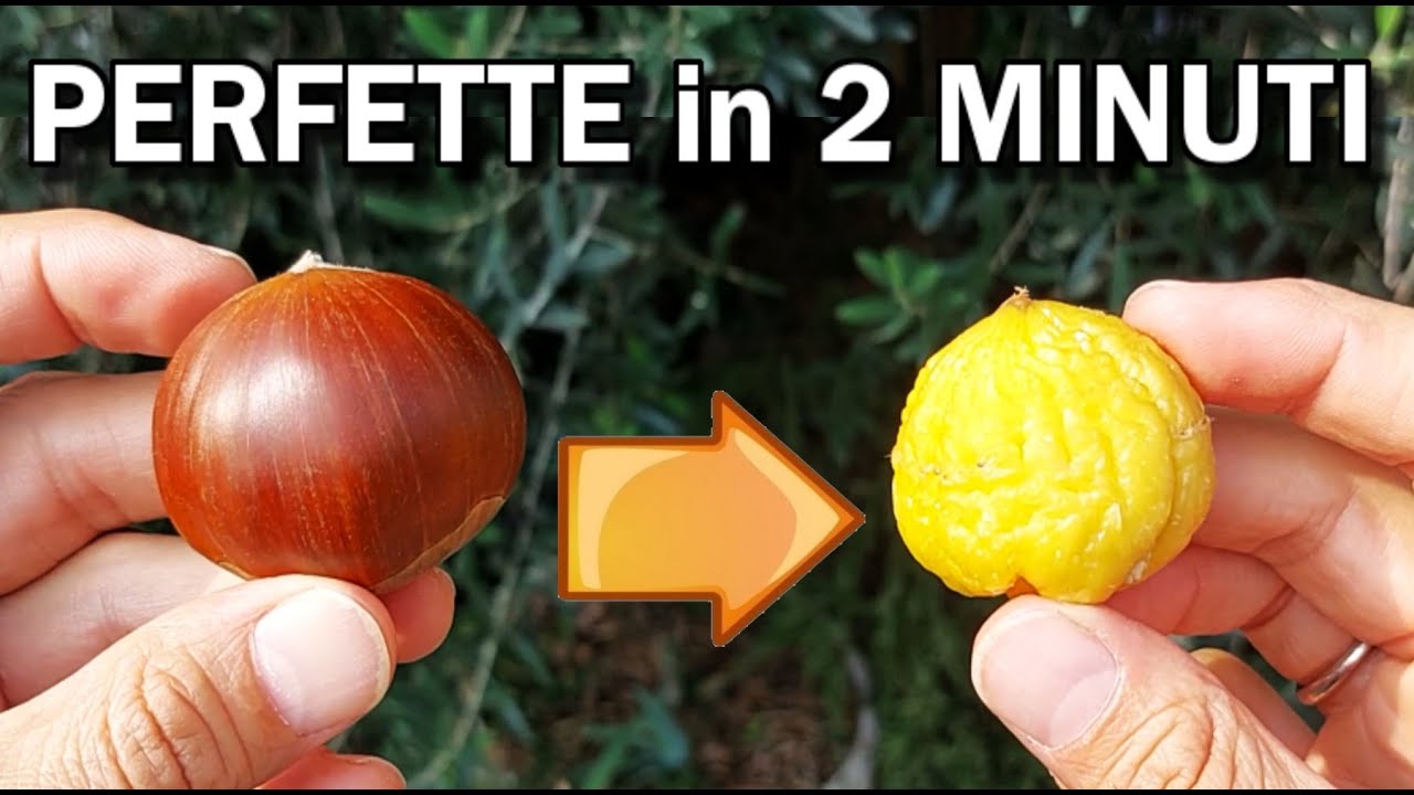 CASTAGNE: ecco come PULIRLE IN 2 MINUTI , IL MIGLIOR TRUCCO SEMPLICE e GENIALE, FRUTTO  DI OTTOBRE