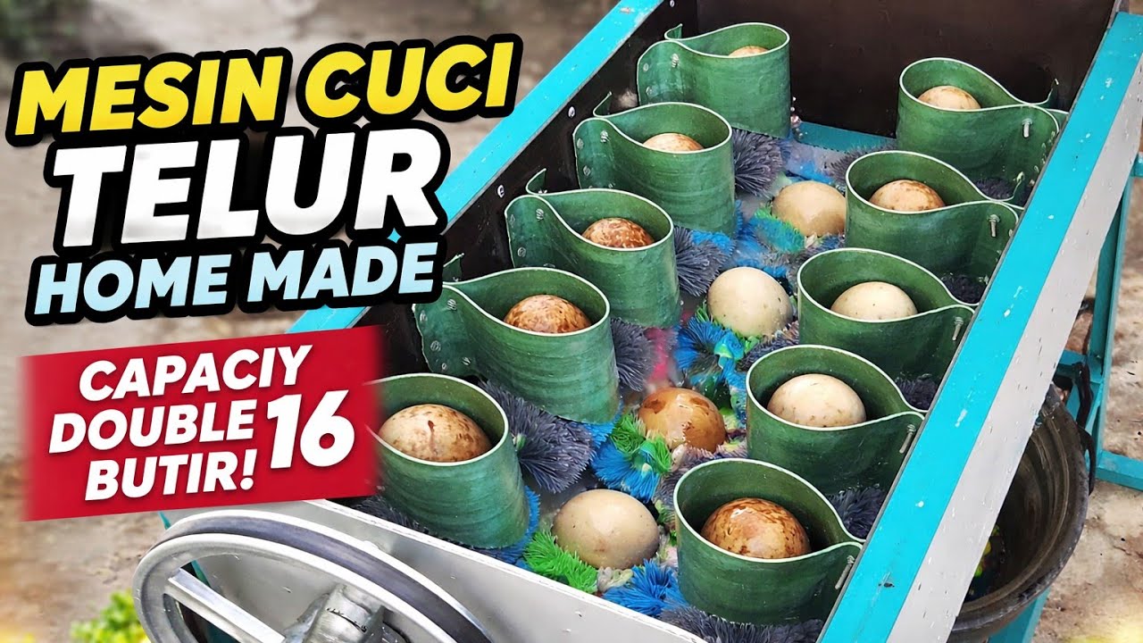 Mesin Pencuci Telur Home Made – Kapasitas Double 16 Butir, Hemat Waktu & Tenaga!