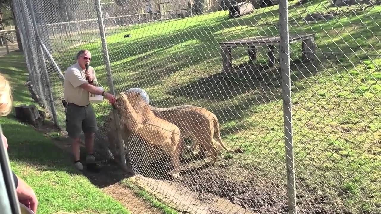 Mogo Zoo