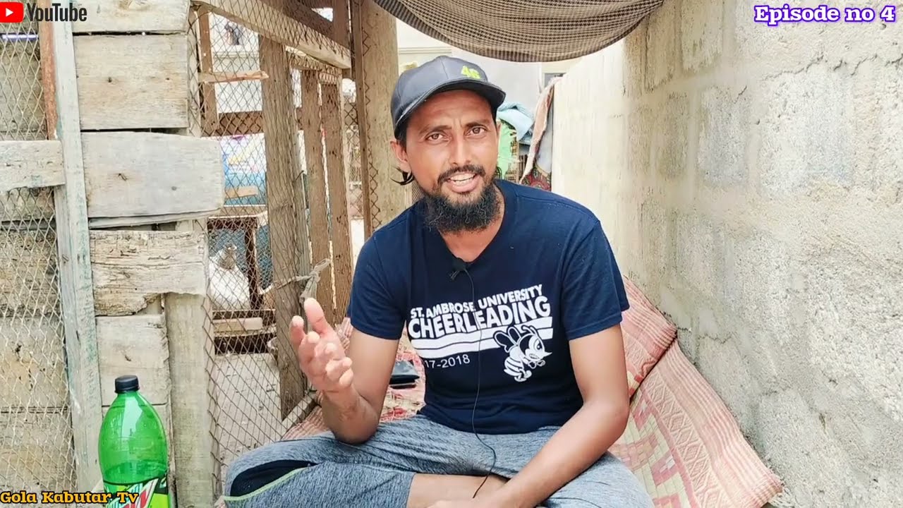 Pigeons Treatment Episode No 4 | By Gola Kabutar Tv | Kabutar Ki Bimari Ka ilaj | ADIL Bhai Ke Sath
