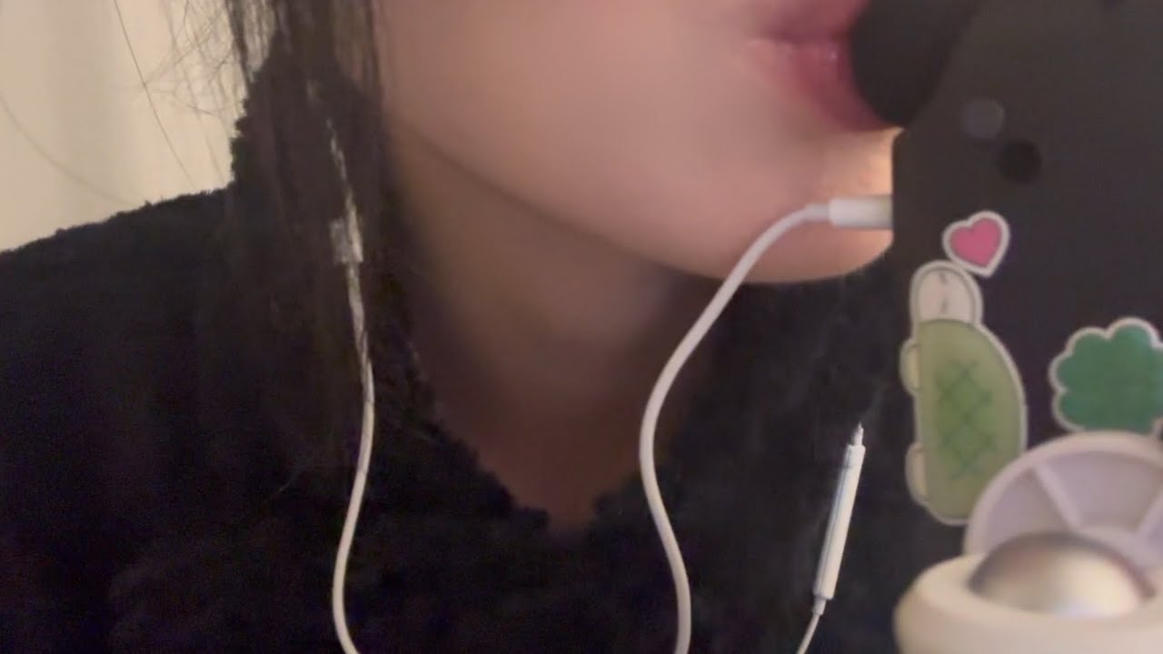 햄니 근황 & 입소리