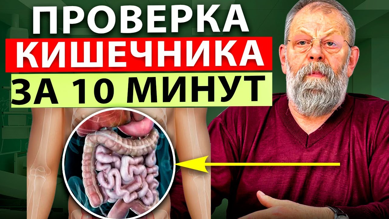 КАК БЫСТРО ПРОВЕРИТЬ СОСТОЯНИЕ КИШЕЧНИКА за 1 минуту