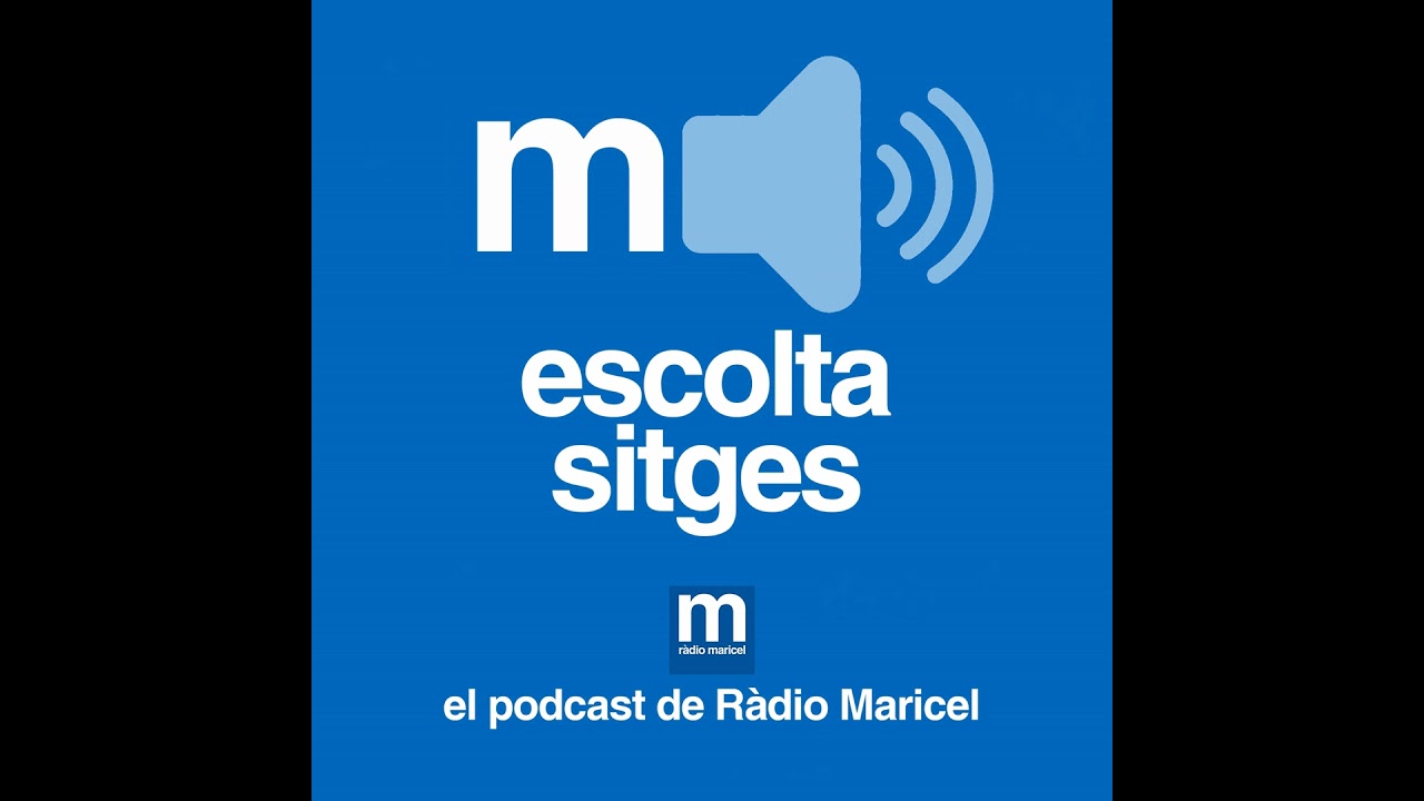 Luis Miguel Garcia (PSC) lamenta haver de votar en contra del pressupost, però creu que el govern...
