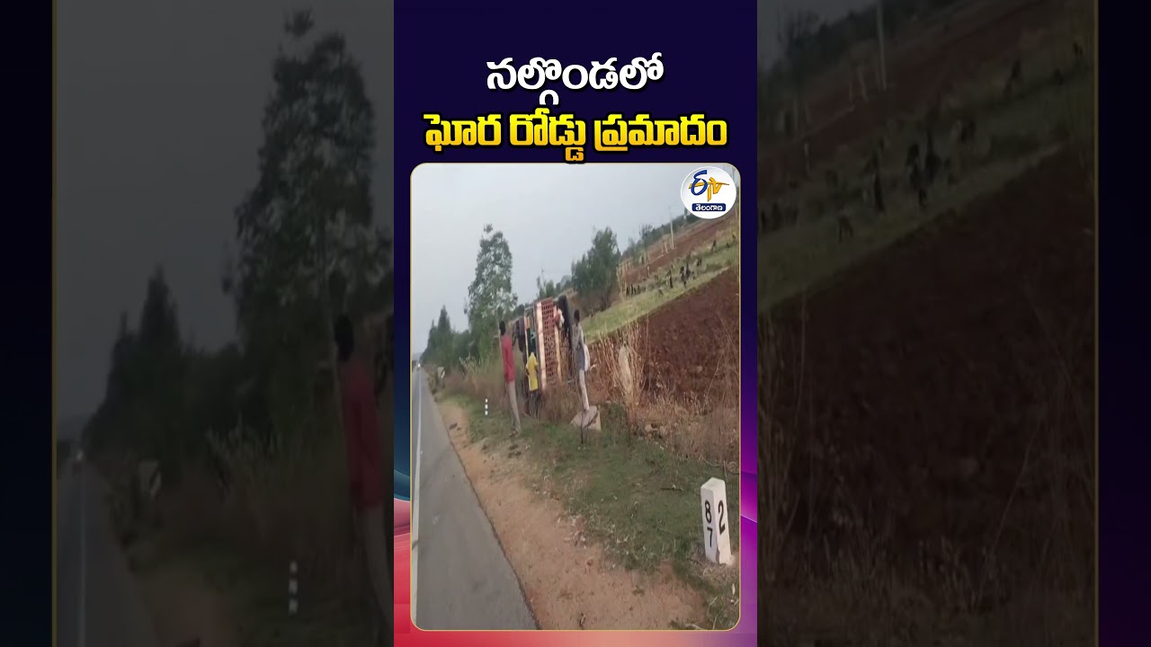 Tragic Road Accident in Nalgonda | Shepherd Dies After Three Vehicles Collide