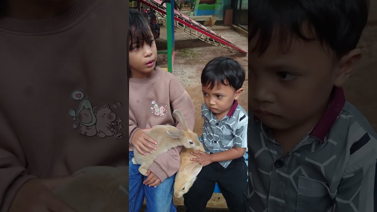 Belajar Mengenal Binatang: Cara Sayang dan Kasih Makan Kelinci