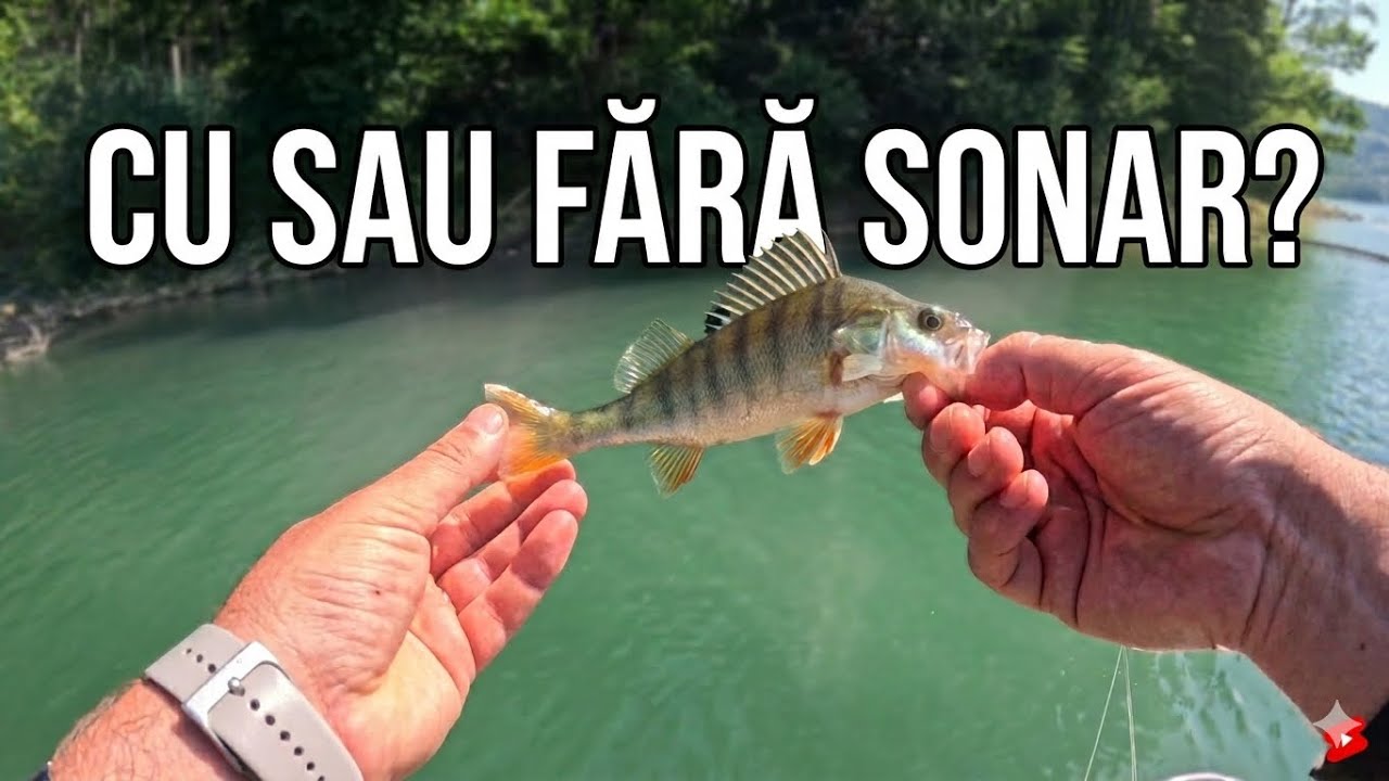Cât PEȘTE poți prinde la SPINING pe LACUL BICAZ fără sonar?