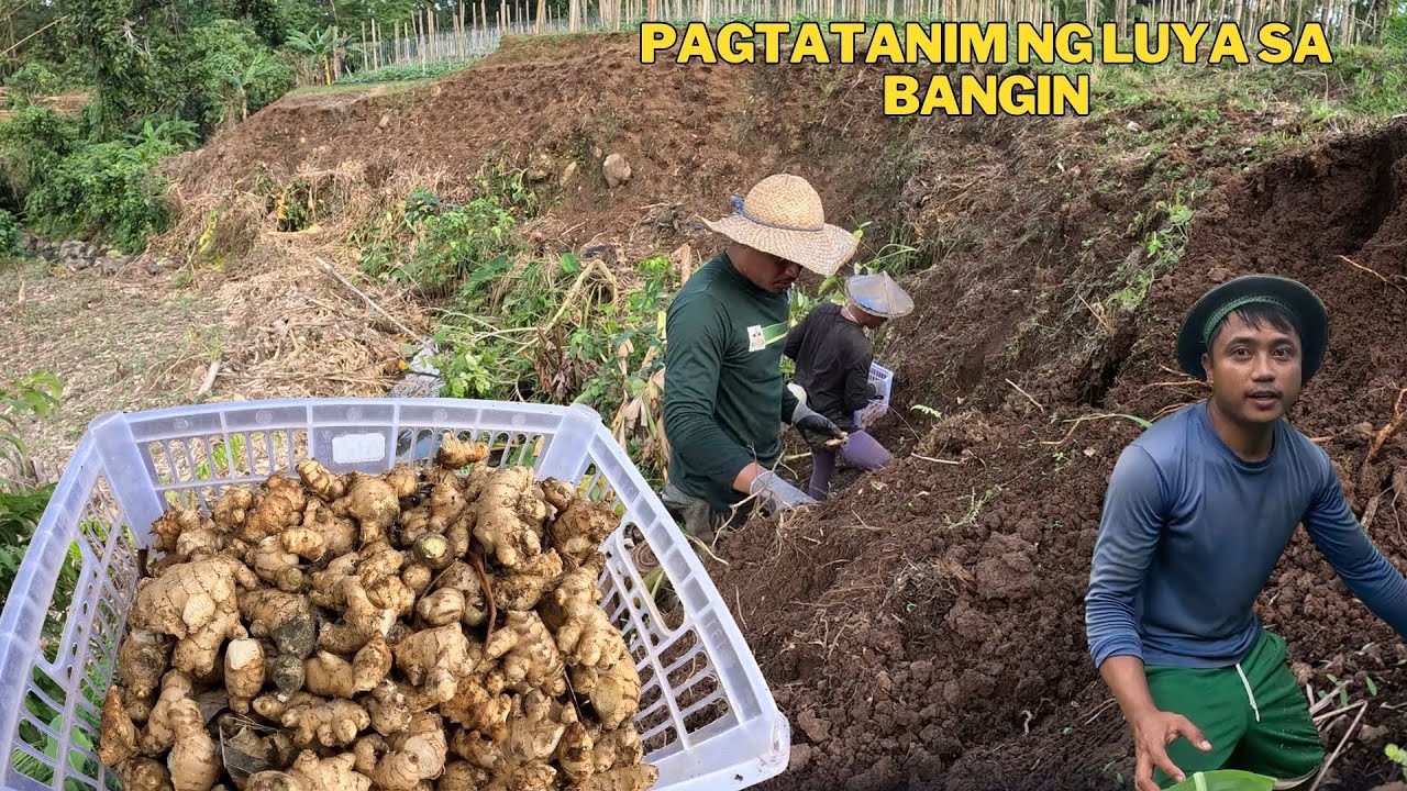 PAGPAPARAMI NG LUYA PARA WALANG SAYANG NA LUPA AT SPACE