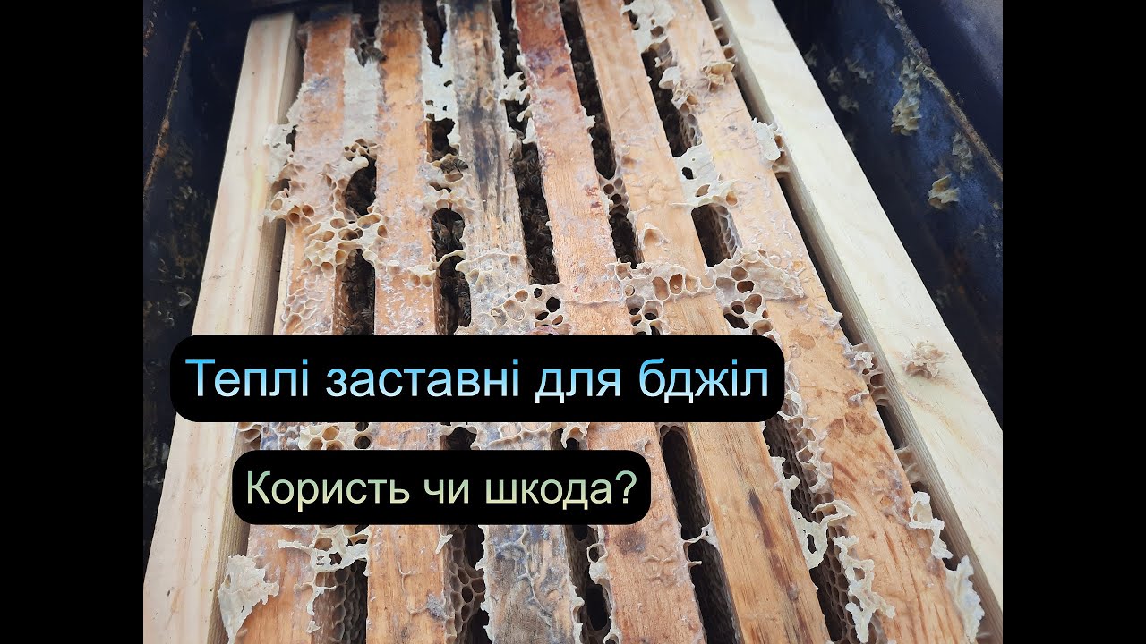 Теплі заставні для бджіл