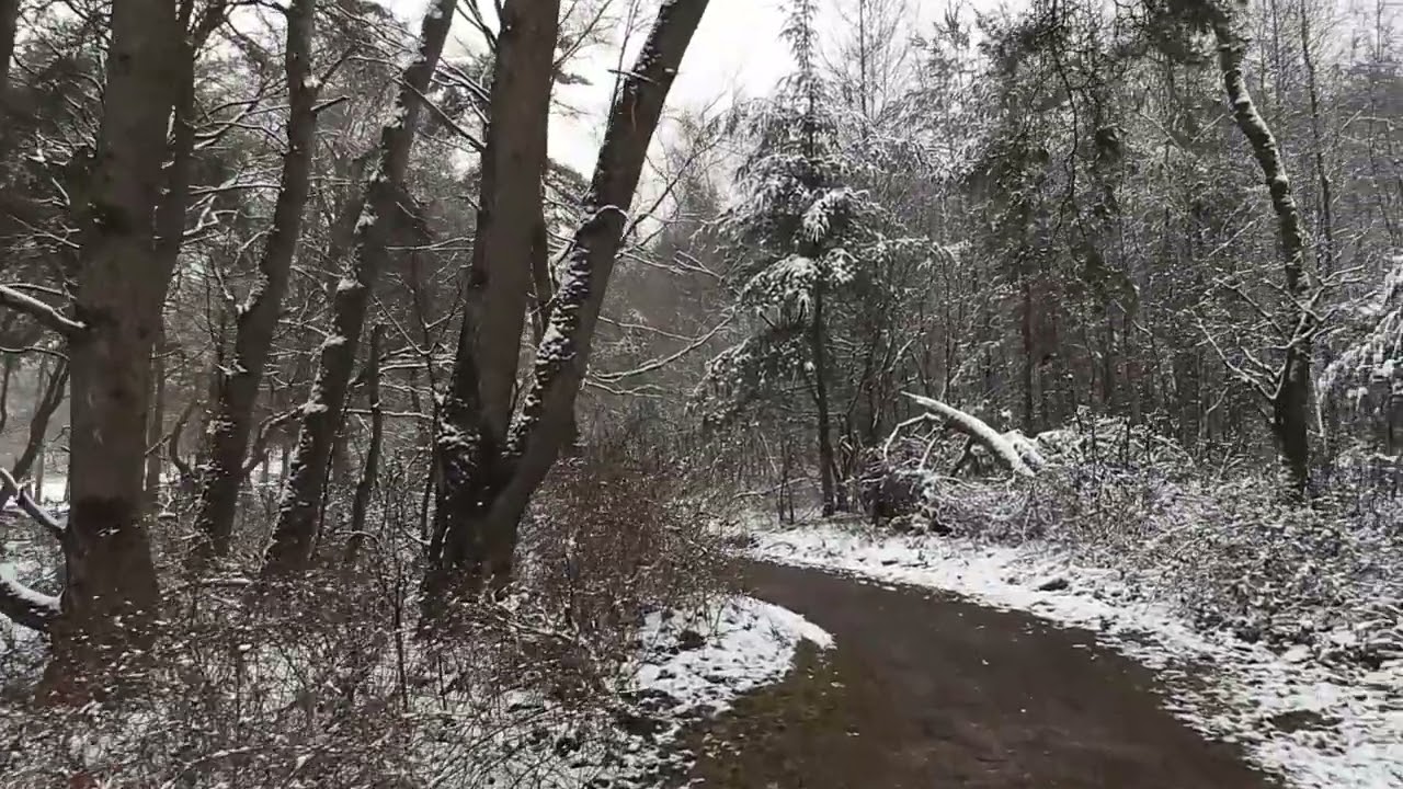 Afl. 2 Wildlife in een witte wereld