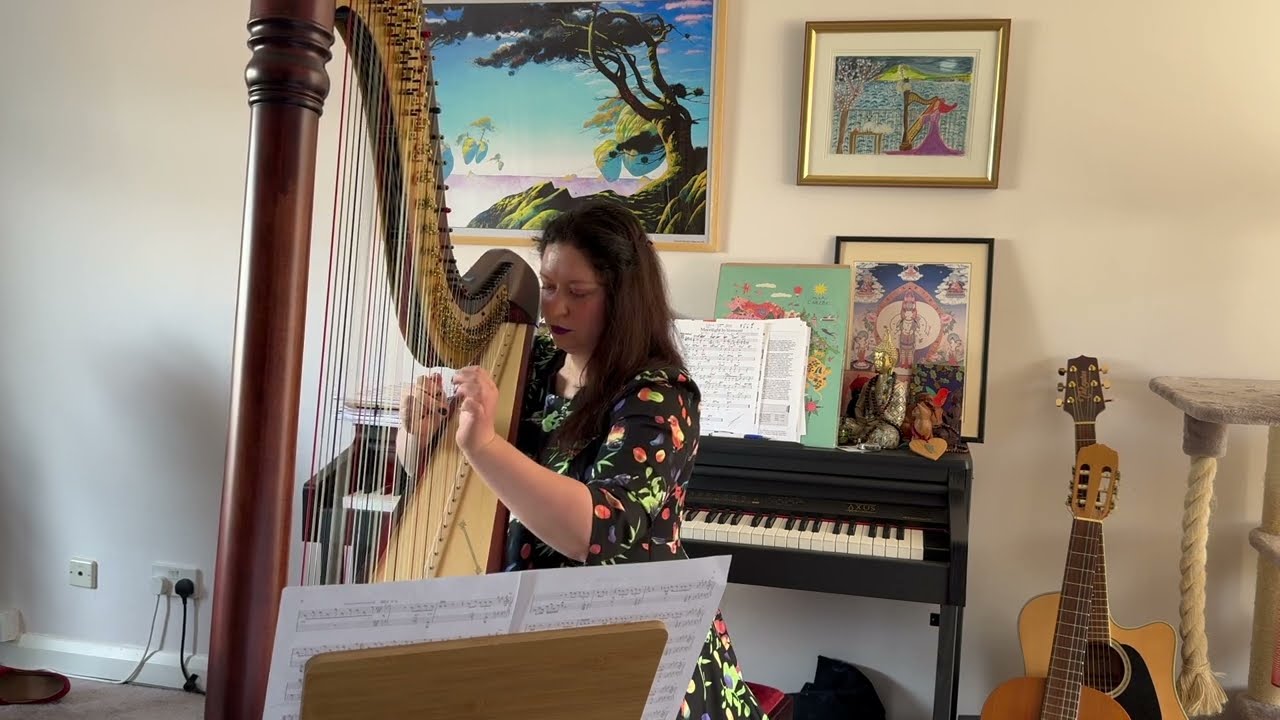 Hotel Hobbies & Warm Wet Circles (Marillion, arr. M. Trotter) - Maria Trotter - Harp