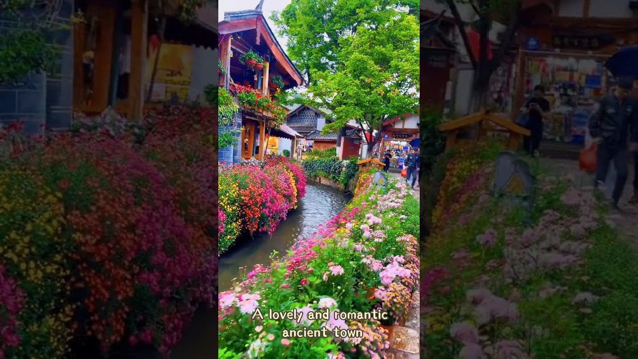 Do you want to enjoy the spring weather and flowers blossom all the year? 🌺🌸🌼 #travel #sorts #china