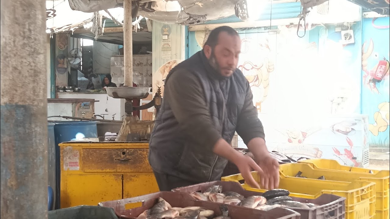 يوم كامل من أسماك اليوم اداره ابو عبد الرحمن للحجز 01063122456