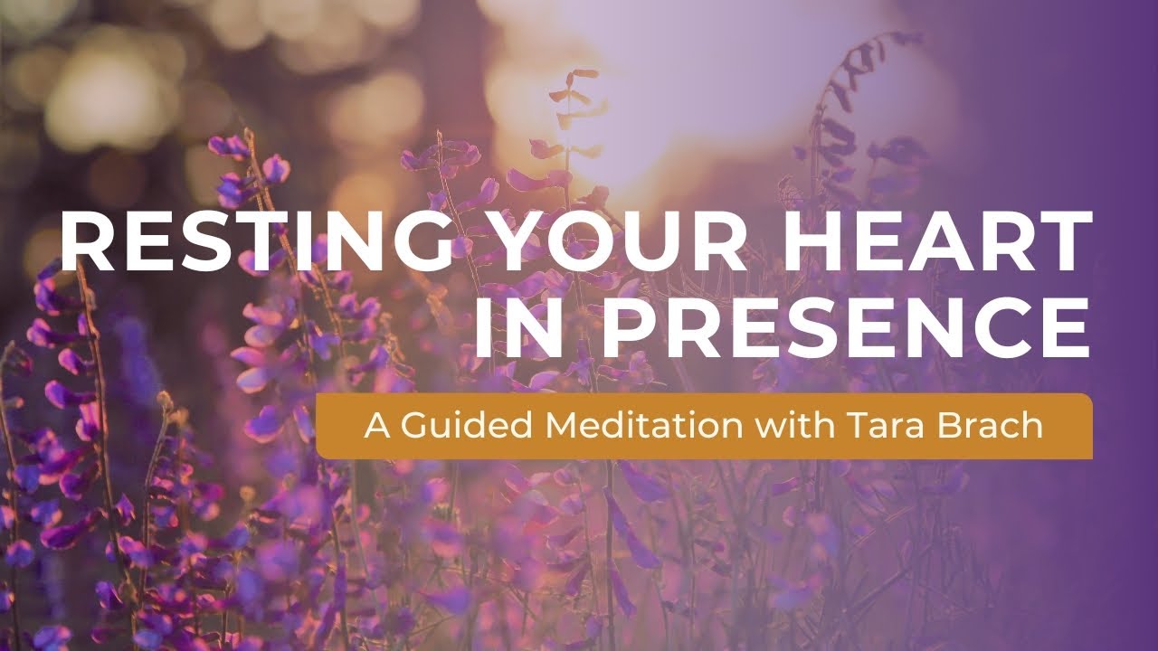 Resting Your Heart in Presence | A Guided Meditation with Tara Brach
