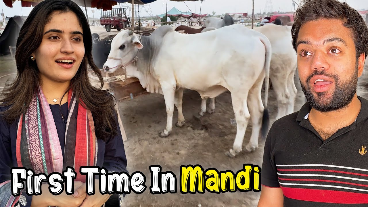 Aroob Ne Pehli Baar Bakra Mandi Dekhi 🐐😍 | Mandi Se Agla Janwar Konsa Len ? 🤔
