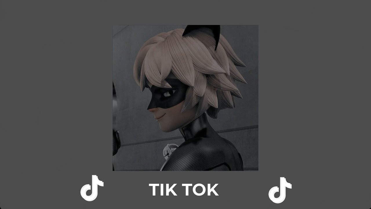 Chat noir edits