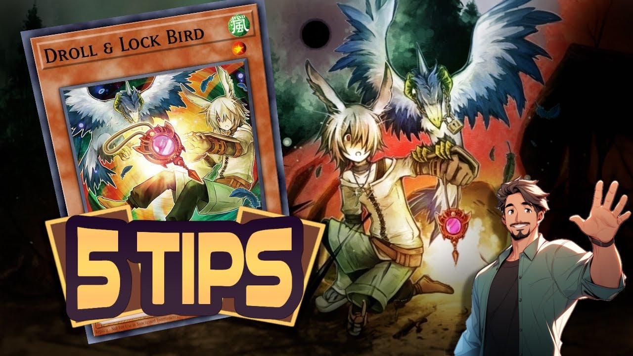 Yugioh 5 Tips About Droll and Lock Bird