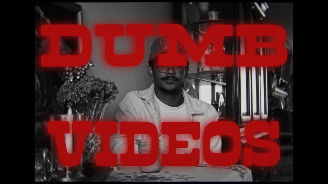 Make Dumb Videos