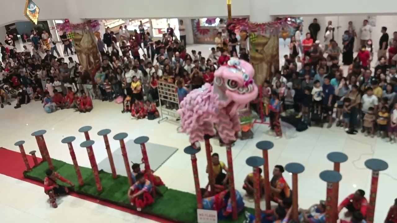 Lion Dance 2026(6)