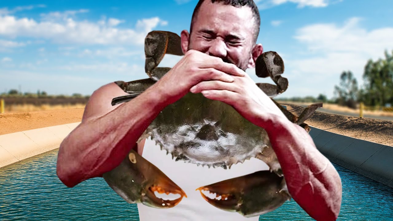 I caught Crabs at an Airbnb