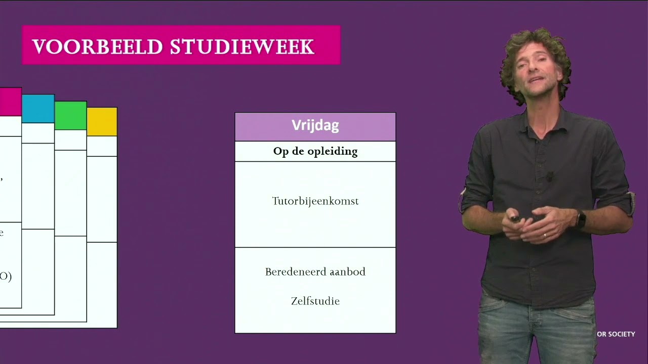Leraar Basisonderwijs (pabo) voltijd - Opbouw van de studie