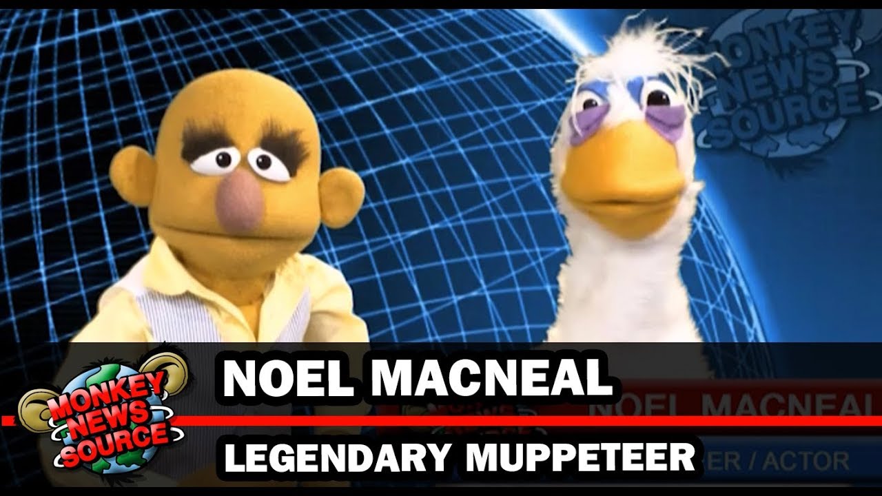 Bear in the Big Blue House - Bear - Muppeteer - Noel MacNeal on Monkey News Source