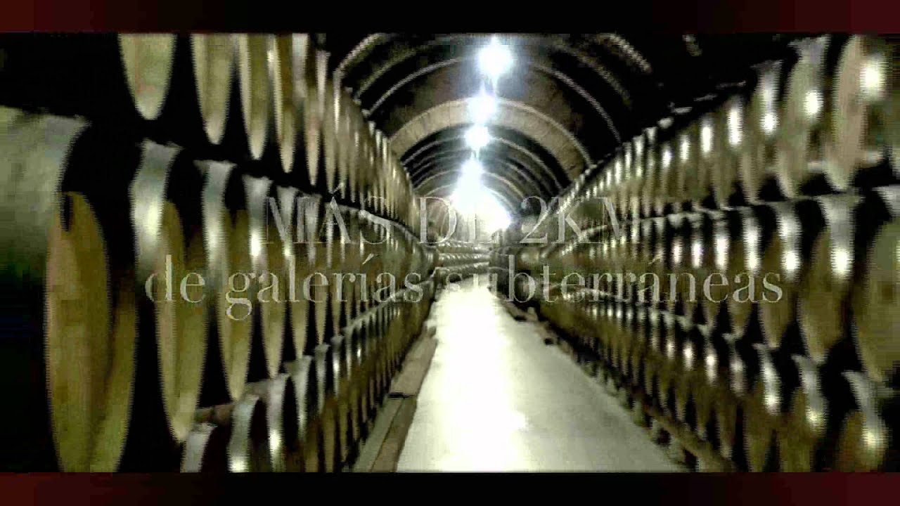 Bodegas Protos. Vídeo corporativo en Castellano.