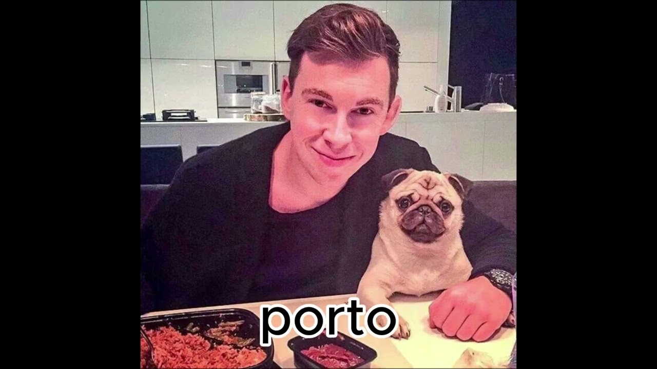 COMO HARDWELL CRIOU SEU MAIOR HIT