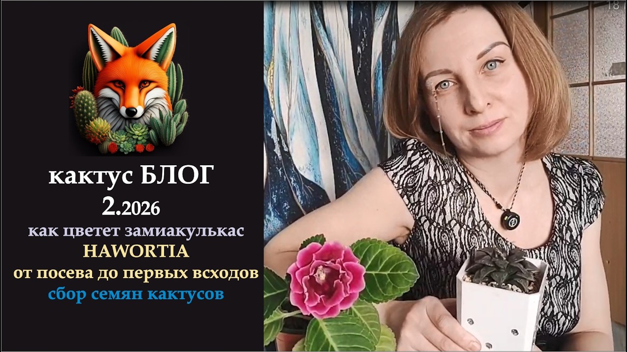 Кактус Блог 2_2026