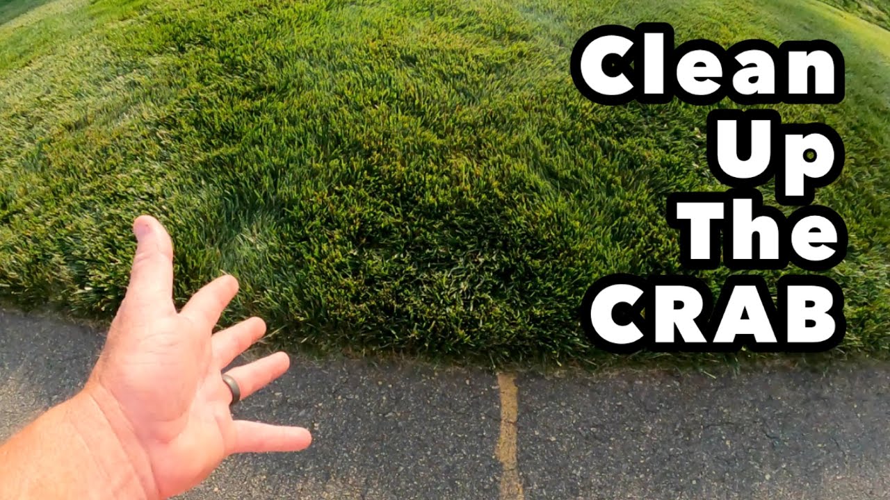 Crabgrass Clover Bermudagrass Dallisgrass all in One Spray