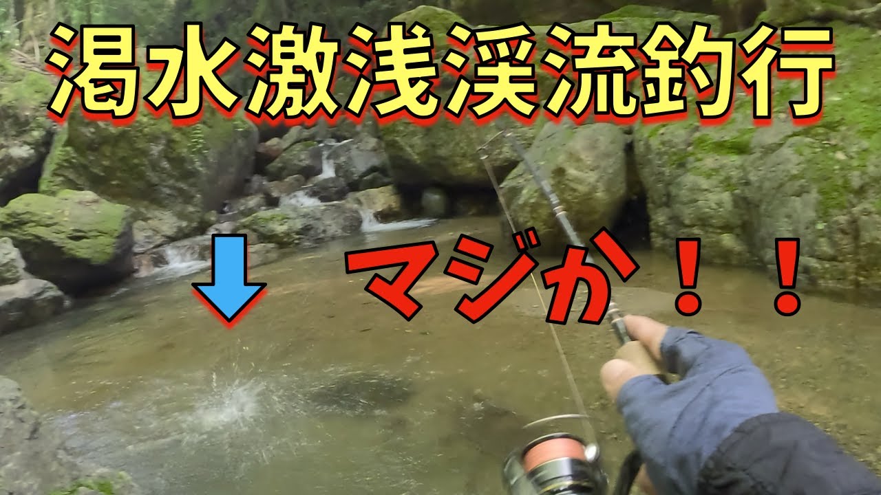 初夏の渇水渓流は・・・【渓流ルアー】