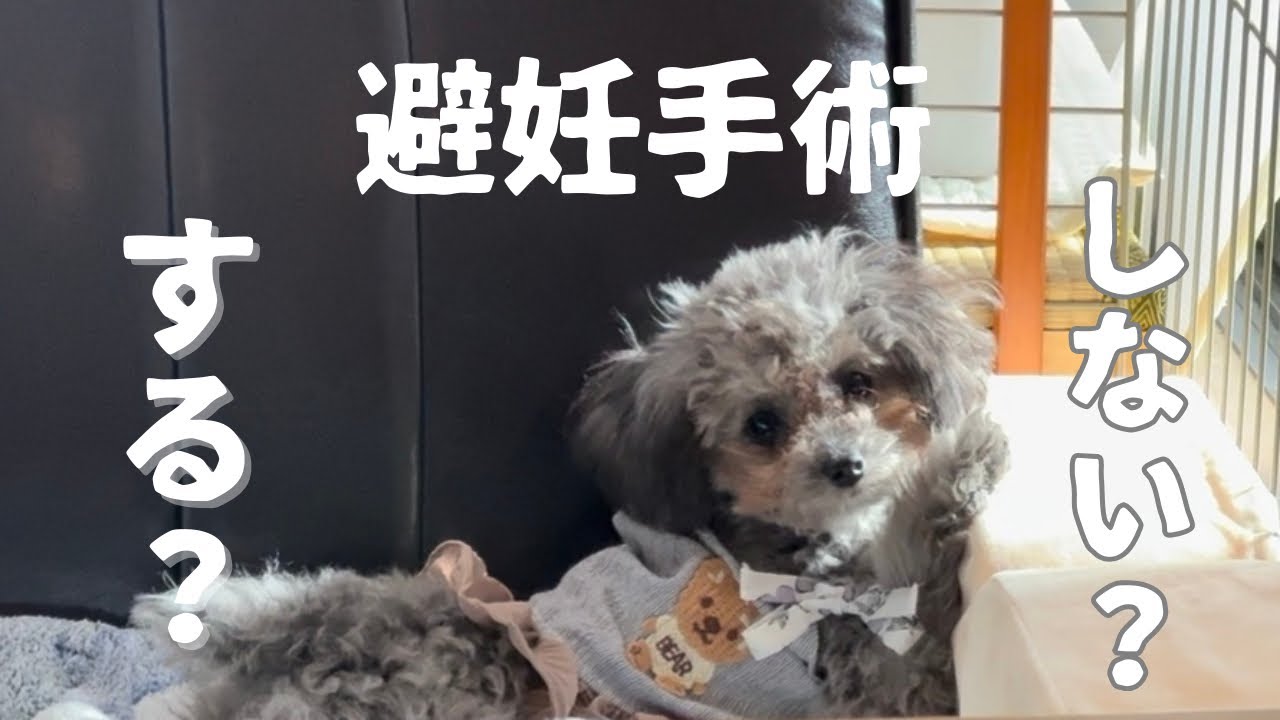 【避妊手術】する？しない？悩んでいます