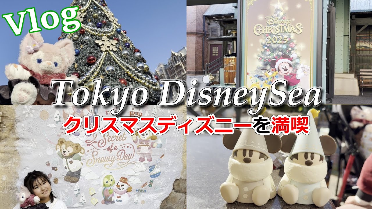 子どもが喜ぶクリスマスディズニー！夜まで遊び尽くした1日ルート